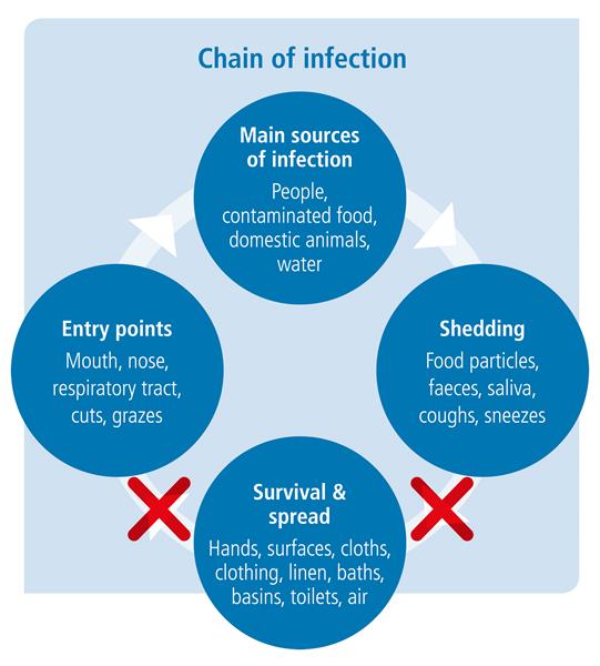How often - health and hygiene best practices